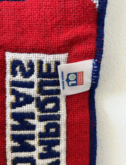 Echarpe de foot rouge et bleu de l'Olympique Lyonnais lors de la finale de la Coupe de la Ligue en 2014